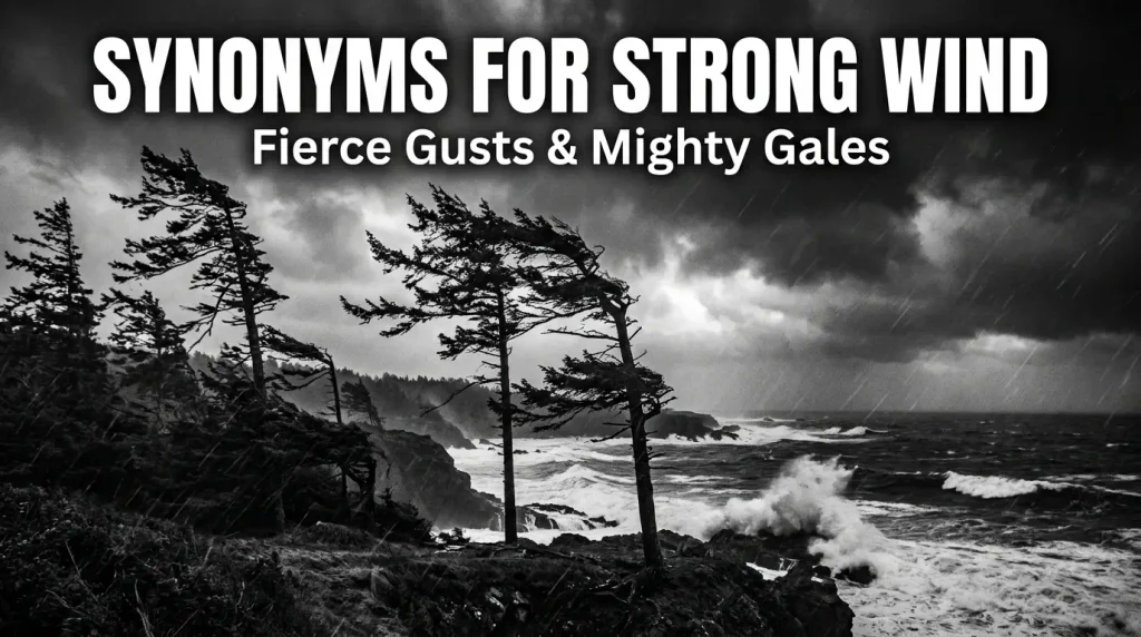 synonyms for strong wind
